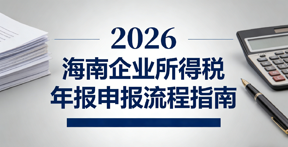 2026海南企业所得税年报——大老板企业管理（海南）有限公司