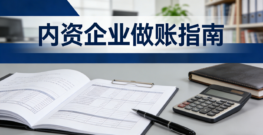 内资企业做账——大老板企业管理（海南）有限公司